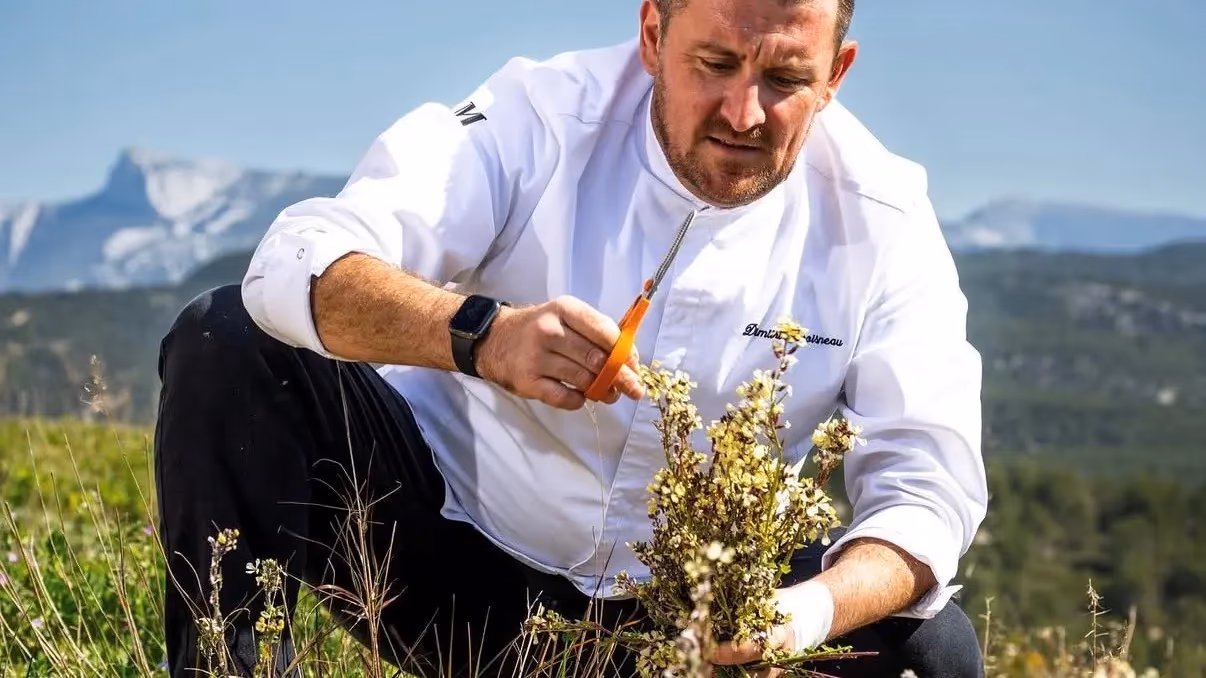 Un homme en chemise blanche et pantalon noir cueille des plantes dans un champ avec des montagnes en arrière-plan